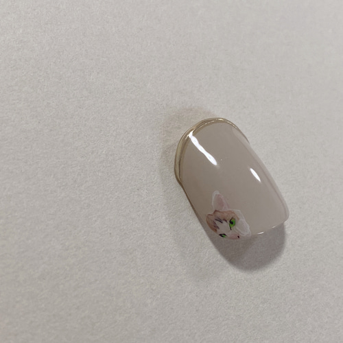 うちの子オーダーネイル♡ ネイルチップ（つけ爪） nail_jean 通販