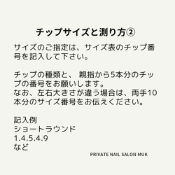 チップサイズ、種類、測り方説明(2022/11) 3枚目の画像