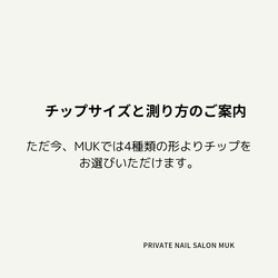 チップサイズ、種類、測り方説明(2022/11) 1枚目の画像