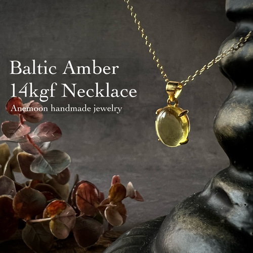 アントニーニ、ハープシコード ハーフZIPプルオーバー/earth music&ecology（アース