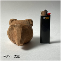 こぶし熊 吾郎 Fist Bear GORO 6枚目の画像