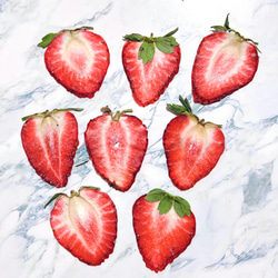 押しイチゴ (赤い妖精 スライス Lサイズ) 8枚 いちご 苺 キャンドル ハーバリウム レジン 押しフルーツ 素材 1枚目の画像