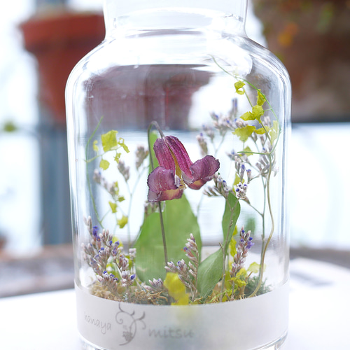 ドライフラワー アサギリソウとクレマチスの花の後 ドライフラワー アサギリソウとクレマチスの花の後 クレマチスの丘