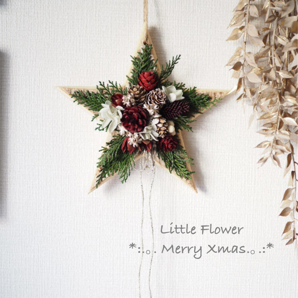 ドライフラワーꕤ︎︎木の実いっぱいクリスマス縦長ガーランド ꕤ︎︎お正月 壁飾り ドライフラワーꕤ︎︎木の実いっぱいクリスマス縦長ガーランド