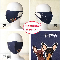 【Sale】マスク ミニチュアピンシャー 2枚目の画像