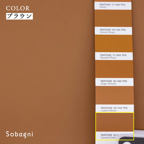 新品SOLEIADOソレイアード東レセオα反物 ブラウン ジャハンギール　日本製 ☆Sobagni(ソバニ)☆厚手タイプの貼る合皮☆A4カット売り☆ベージュ