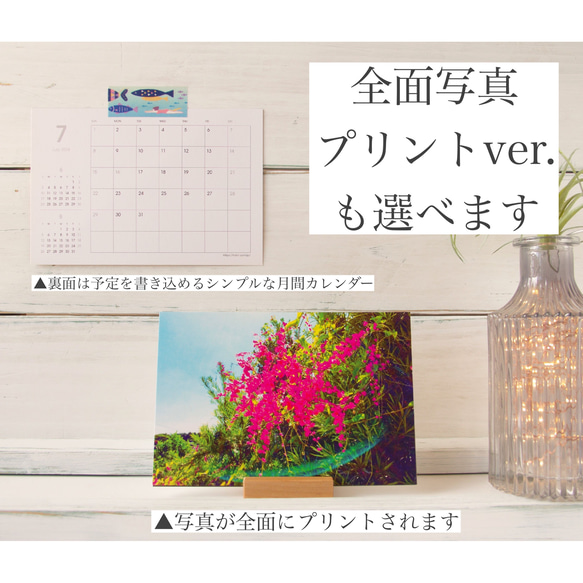 【Calendar just for you】完全定制的2023 Healing Okinawa桌面日曆【mizuphoto原創 第5張的照片