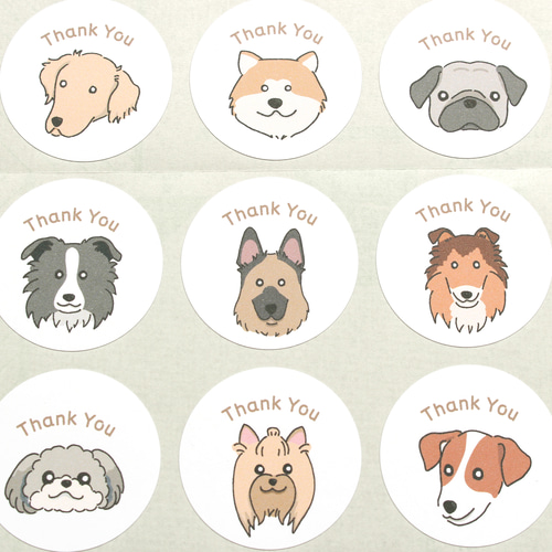 わんちゃん28犬種サンキューシール48枚セット シール・ステッカー