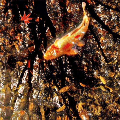 紅葉に泳ぐ ／ 自然 動物 魚 鯉 秋 木 池 風景 反射 写実 アクリル