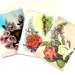 未使用的古董明信片 3 張照片/花卉插圖（玫瑰）| 法國 第1張的照片