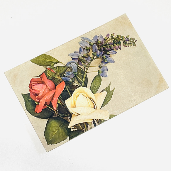 未使用的古董明信片 3 張照片/花卉插圖（玫瑰）| 法國 第5張的照片