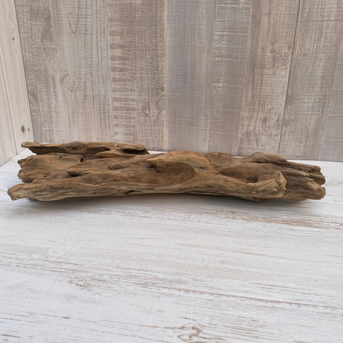 流木インテリア オブジェ ディスプレイ 1070300004 その他インテリア