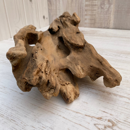 流木インテリア オブジェ ディスプレイ 1070300004 その他インテリア