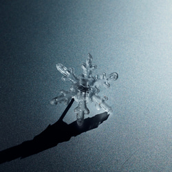 雪、ついてるよ no.11 雪の結晶　ピンブローチ　樹枝状結晶《2月末まで》 3枚目の画像
