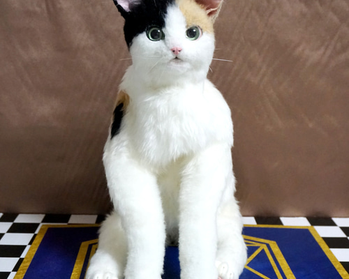 3d2056ce1bd5b551e17a723be1cfa8