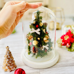 ドームガラスのミニツリー ハーバリウム・植物標本 Fullfleur 通販