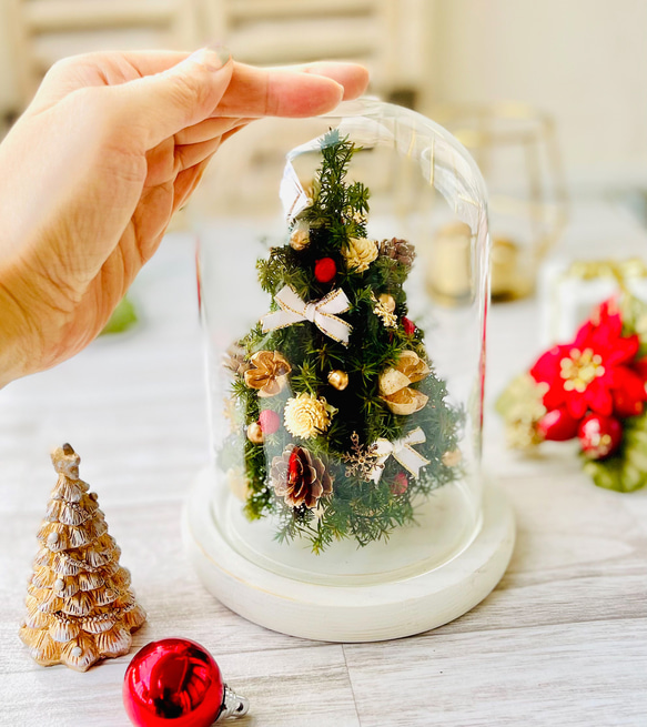 ドームガラスのミニツリー ハーバリウム・植物標本 Fullfleur 通販