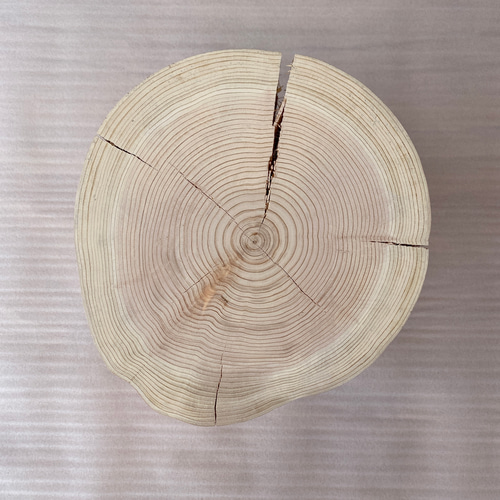 ヒノキ クラック切り株 スツール 丸太 椅子 オブジェ フラワー