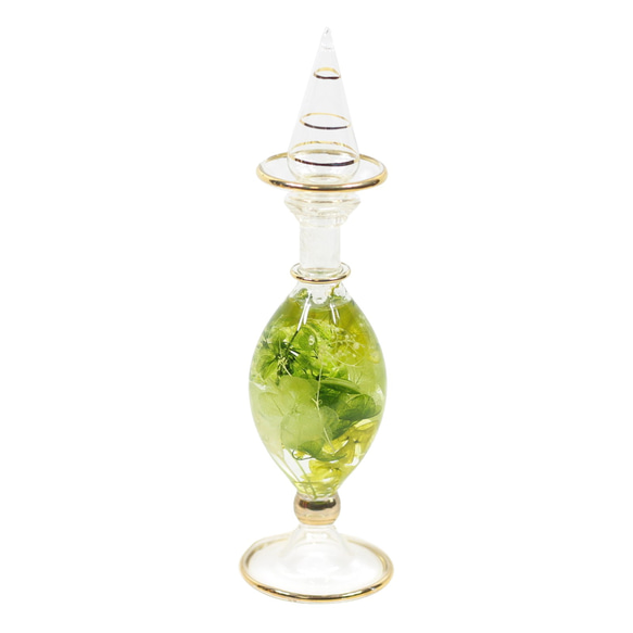 《植物標本室M號綠色》成品玻璃罐瓶花材永生花鮮花禮物禮物 第2張的照片