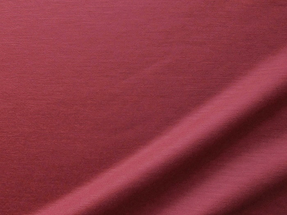 ～Series袖付ブラウス…ウール100％天竺ニット(ガーネット)～ 2枚目の画像