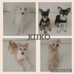 KIIKO  羊毛フェルト　オーダー　犬　ペット　 イヌ　鳥 2枚目の画像