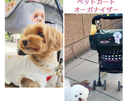 31698e8a0dd696d778b3d4b2cdc08a