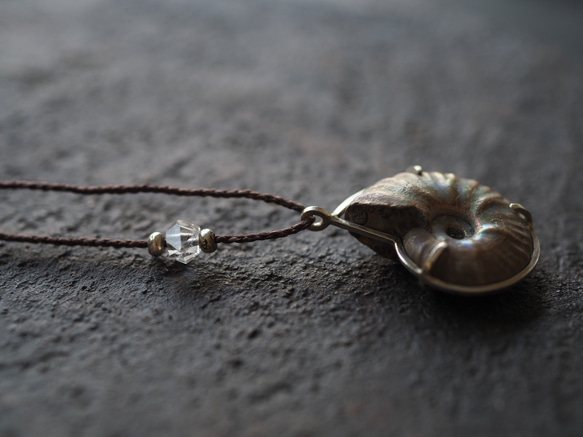 ammonite silver necklace  (woshimonotsuki) 11枚目の画像