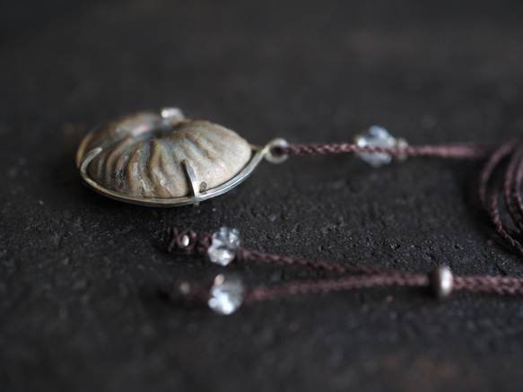 ammonite silver necklace  (woshimonotsuki) 10枚目の画像
