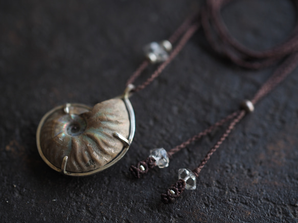 ammonite silver necklace  (woshimonotsuki) 4枚目の画像