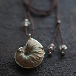 ammonite silver necklace  (woshimonotsuki) 7枚目の画像