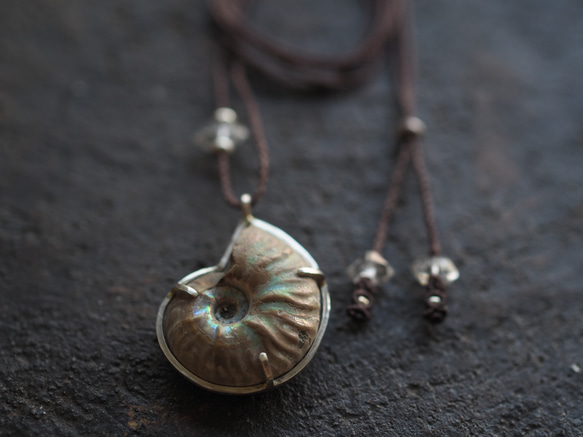 ammonite silver necklace  (woshimonotsuki) 7枚目の画像