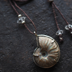 ammonite silver necklace  (woshimonotsuki) 2枚目の画像