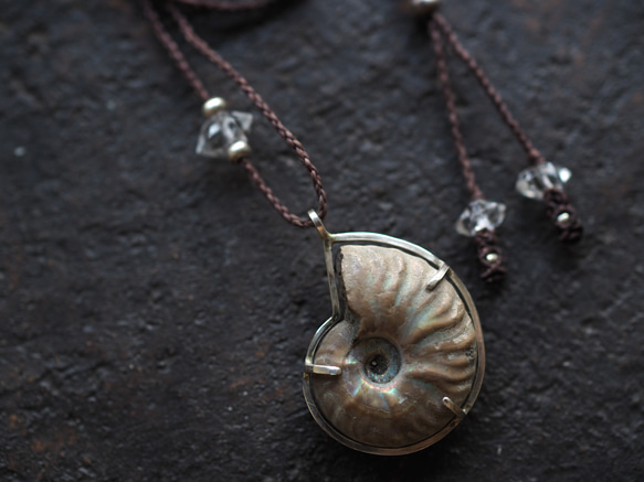 ammonite silver necklace  (woshimonotsuki) 2枚目の画像