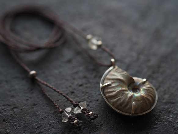 ammonite silver necklace  (woshimonotsuki) 12枚目の画像