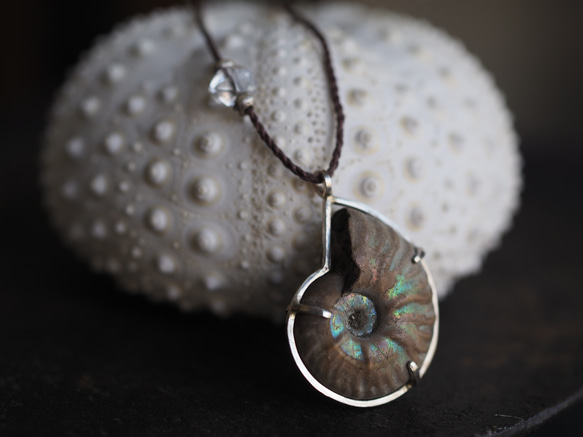 ammonite silver necklace  (woshimonotsuki) 9枚目の画像