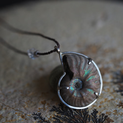 ammonite silver necklace  (woshimonotsuki) 5枚目の画像