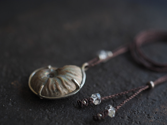 ammonite silver necklace  (woshimonotsuki) 8枚目の画像