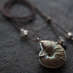 ammonite silver necklace  (woshimonotsuki) 6枚目の画像