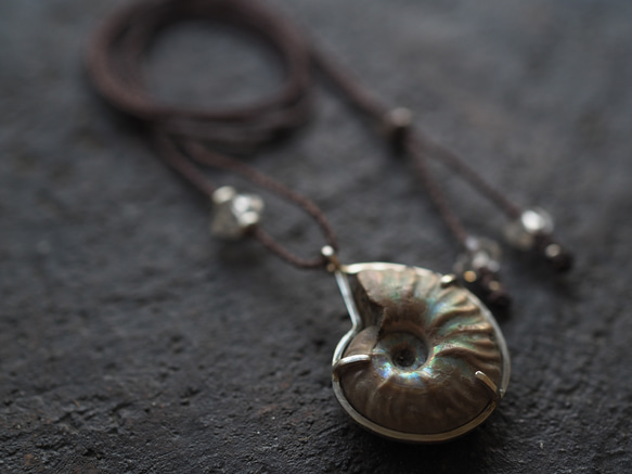 ammonite silver necklace  (woshimonotsuki) 6枚目の画像