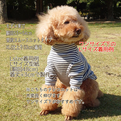 【犬服】オーガニックコットン 衿付 ボーダー ロンT 8枚目の画像