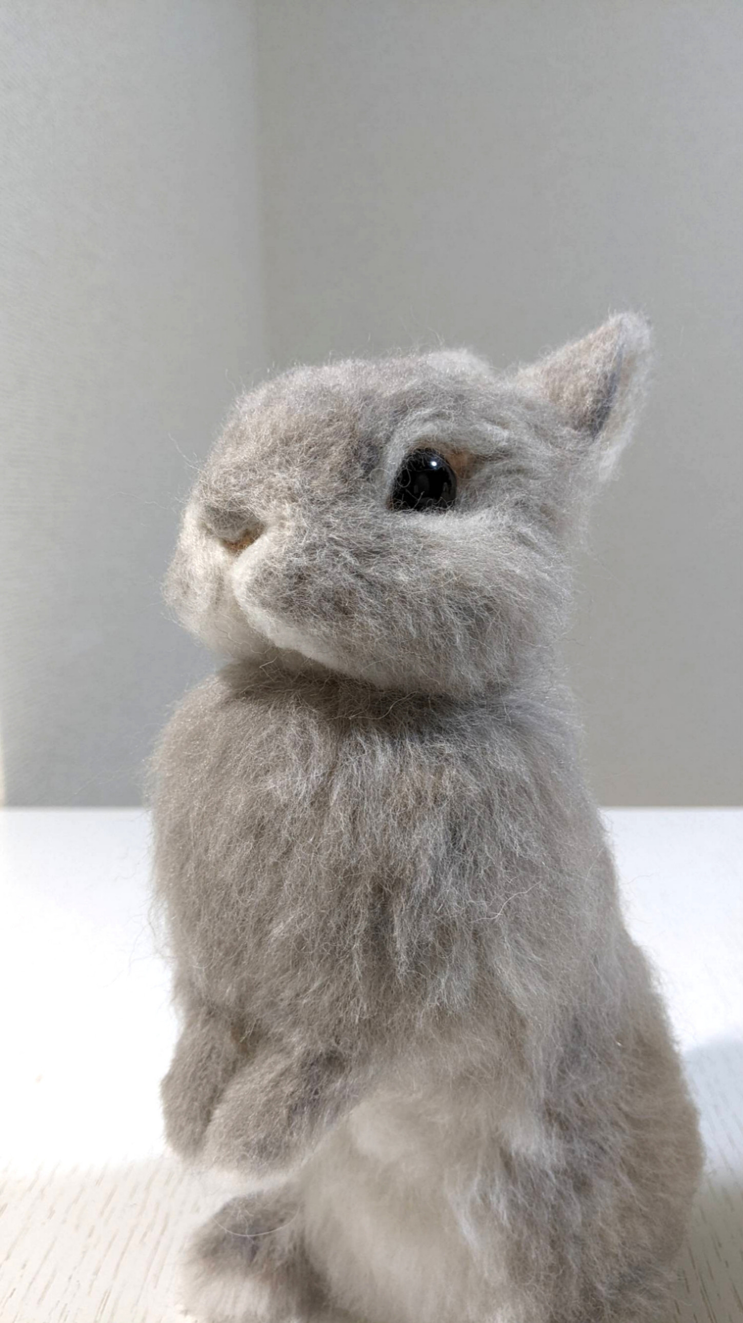 うさぎ