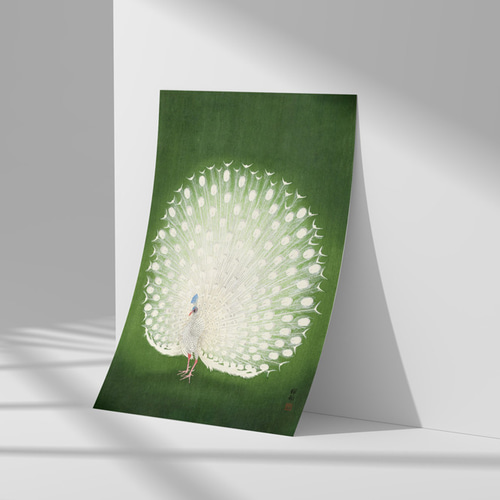 小原古邨、孔雀のポスター、和モダンだけじゃない、応用が利く和柄