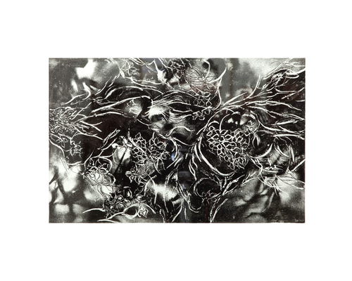 8d1bc642fff1171f3ffcbe821a21ad