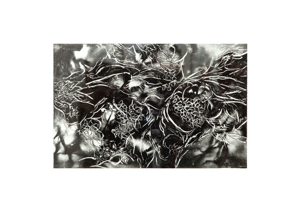 幻想的細密銅版画作品 「夜と華」新春限定モノクロ作品 美品未使用