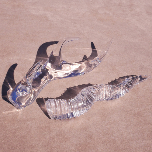 透明ガラスのブラックバックの角☆ツノの置物☆オリジナルインテリア