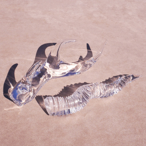 透明ガラスのブラックバックの角☆ツノの置物☆オリジナルインテリア