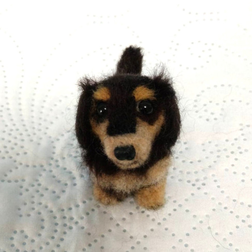 Felt Cocoart | チワックスのライムくん (＾ｰ^) まんまるおでこ