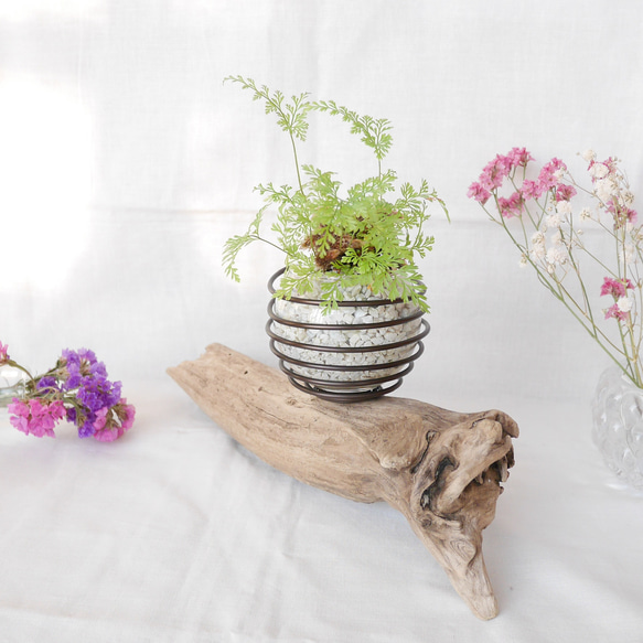 流木プランター エアープランツホルダー 植木鉢 花器 花瓶 ワイヤー グラスインテリア Sサイズ C 流木アート 6枚目の画像