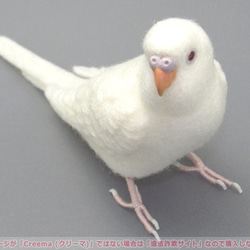 本トリ No.99 セキセイインコ アルビノ ４号 / 羊毛フェルト リアルサイズ 5枚目の画像