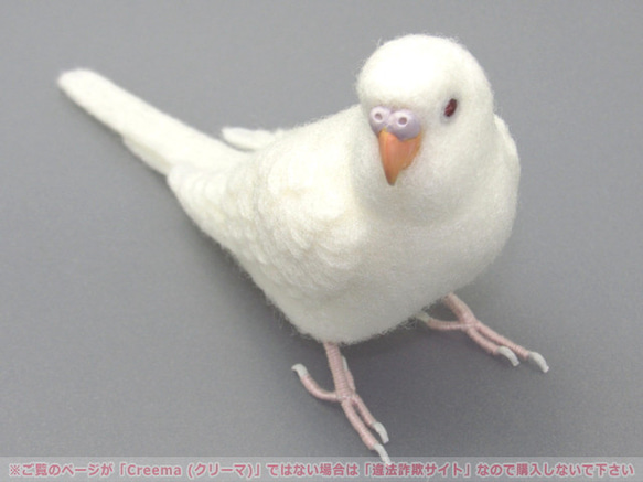 本トリ No.99 セキセイインコ アルビノ ４号 / 羊毛フェルト リアルサイズ 5枚目の画像